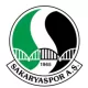 Logo Sakaryaspor